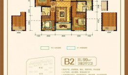 直播买91年假茅台是真的吗,揭秘直播购买91年假茅台的真伪之谜